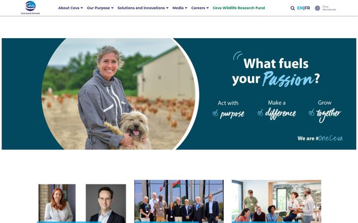 Screenshot of ceva.com