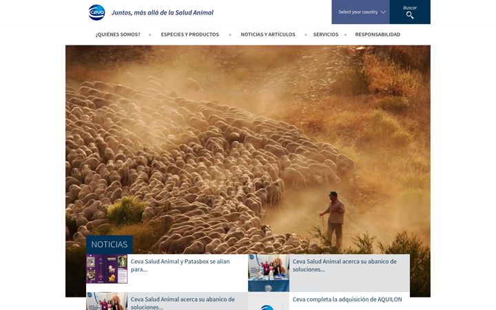 Screenshot of ceva.es