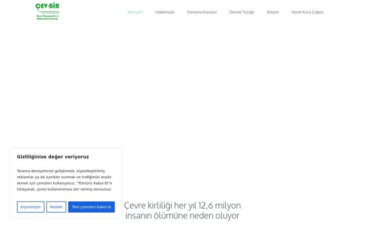 Kuvakaappaus sivustosta cevbir.com.tr