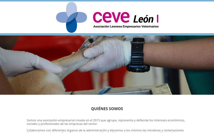 Screenshot of ceveleon.es