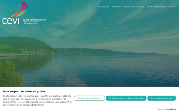 Ekraanipilt saidist cevi.ca