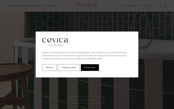 Screenshot von cevica.es