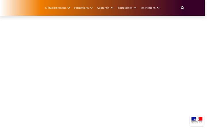 Zrzut ekranu cfa-bessieres.org