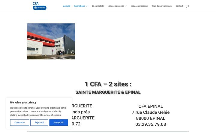 Screenshot του cfa-vosges-cci.fr