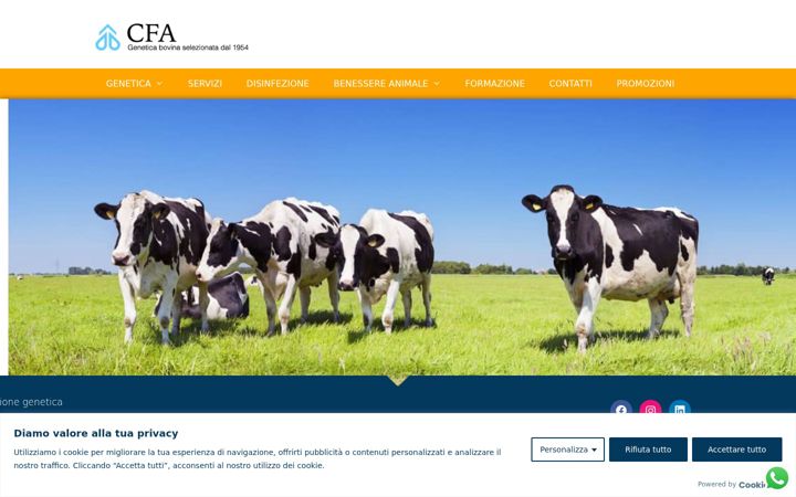 Screenshot di cfabs.it