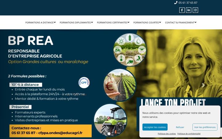 Screenshot of cfppa-ondes.fr