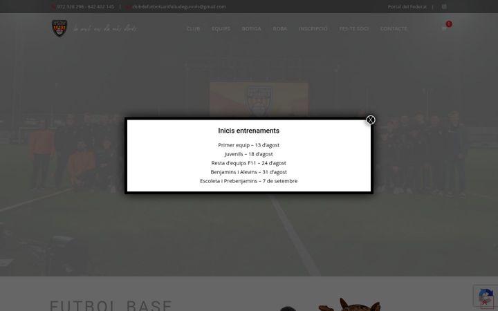 Screenshot of cfsantfeliu.com