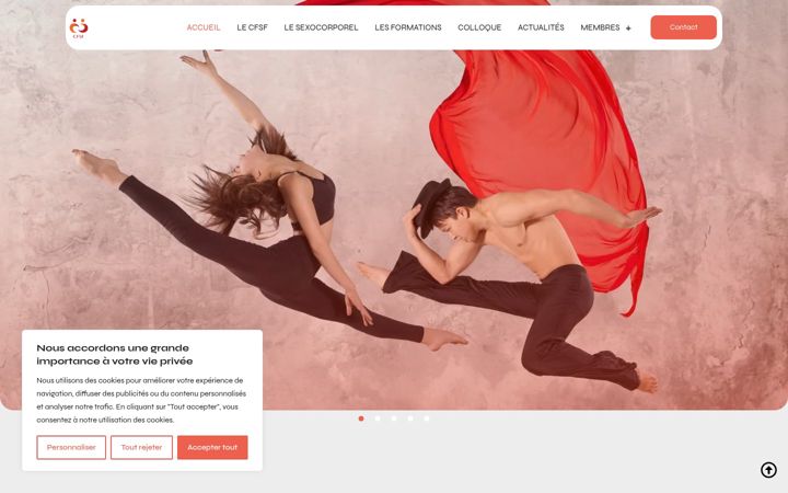 Screenshot of cfsf.fr
