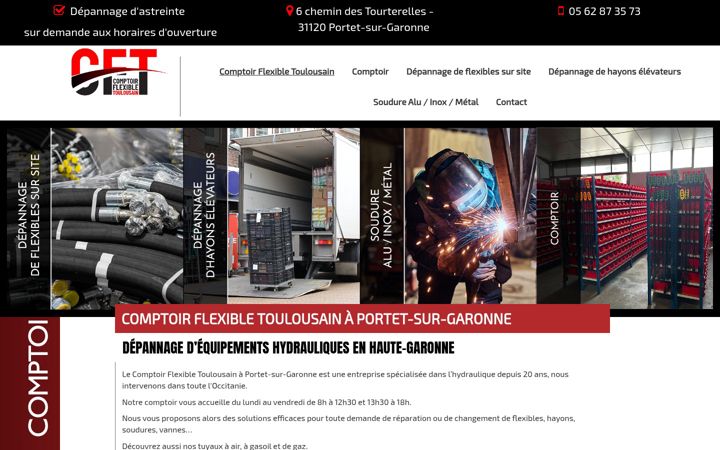 Screenshot of cft31.fr