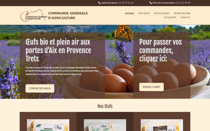 Screenshot of cgda-france.fr