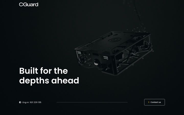 Screenshot stránky cguard.no