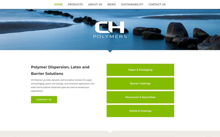Screenshot of ch-polymers.com