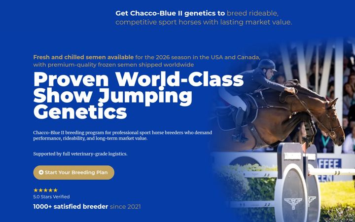 Screenshot of chaccoblue2.com