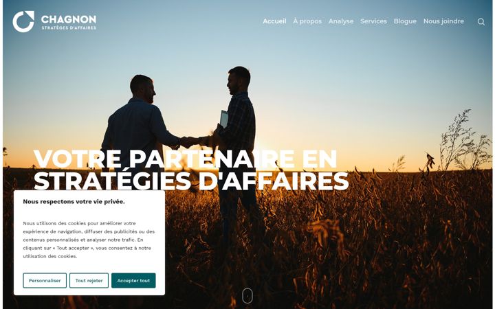 Screenshot of chagnonstrateges.com