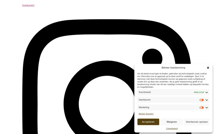 Ekrano kopija chainzit.nl