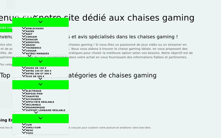 Skjermbilde av chaise-gaming-avis.fr