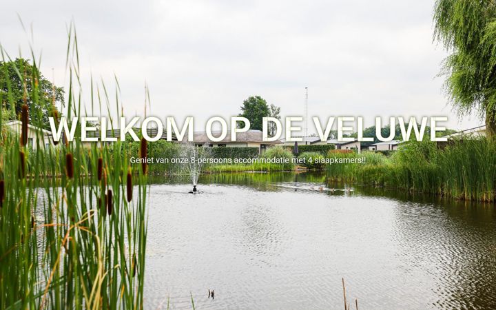 Captura de ecrã de chaletveluwemeer.nl