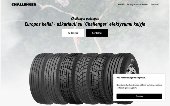 Екранна снимка на challengerpadangos.lt