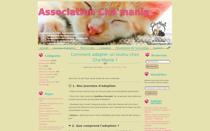 Posnetek zaslona chamania.fr