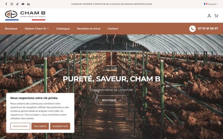 Screenshot of chambfrance.com