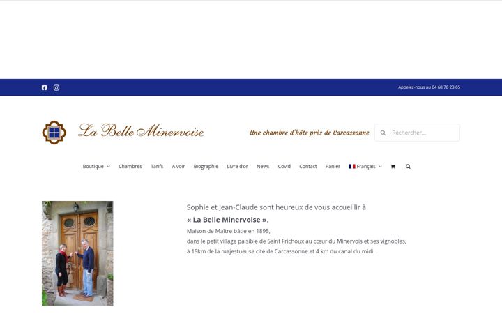 Screenshot of chambredhotecarcassonne.com