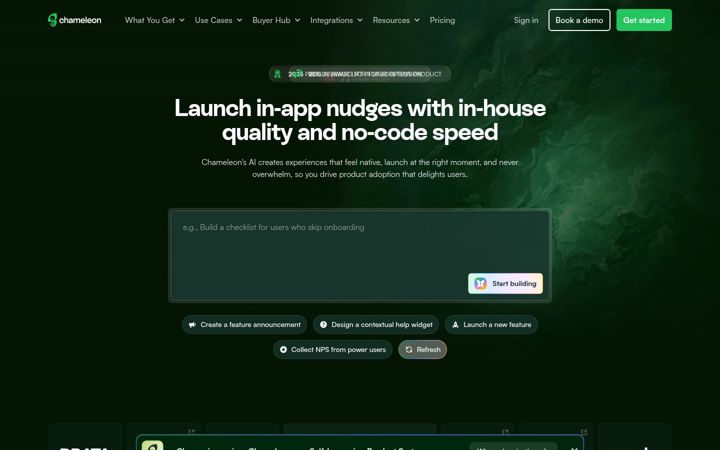 chameleon.io