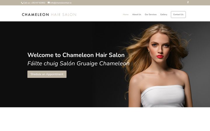 Screenshot ta' chameleonhair.ie