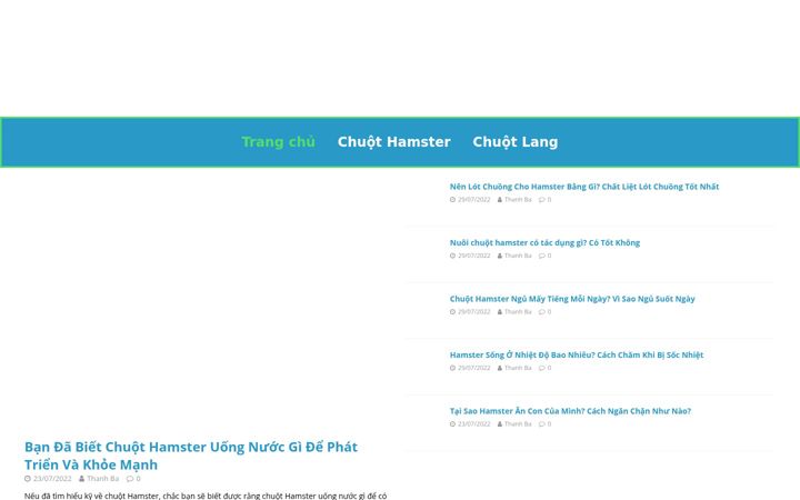 chamhamster.com