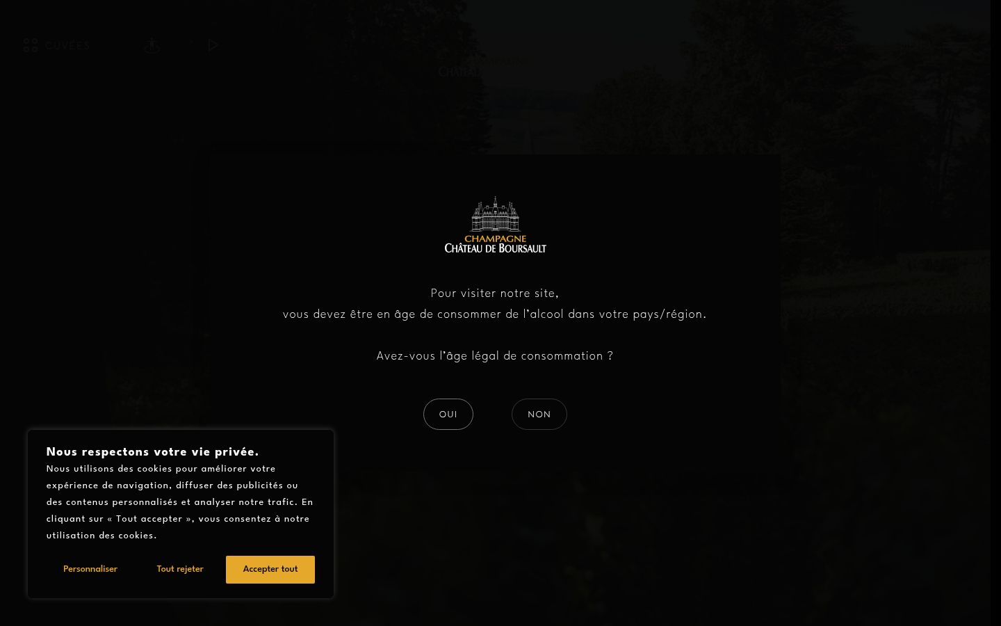 Screenshot of the consent banner shown before any interaction