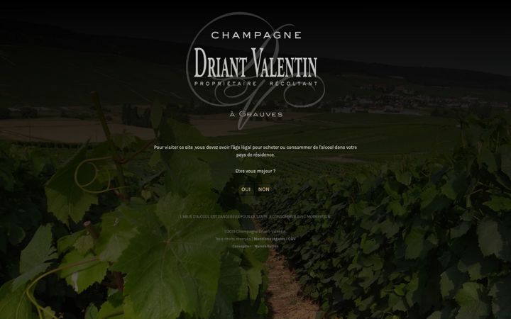 Screenshot of champagne-driant-valentin.com
