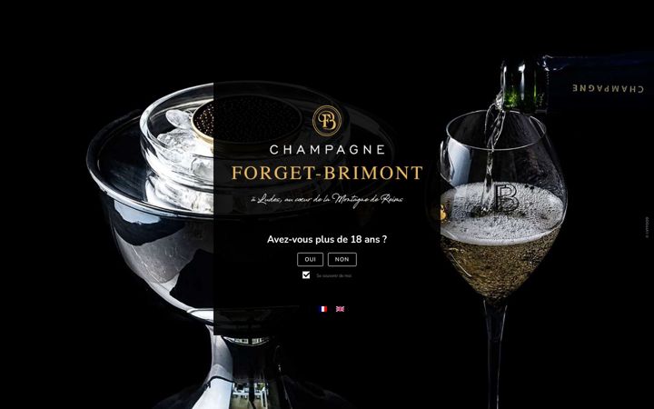 Skjermbilde av champagne-forget-brimont.fr