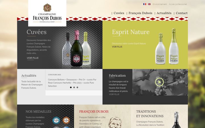 Screenshot of champagne-francois-dubois.com
