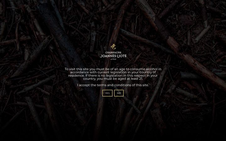 Screenshot of champagne-joannes-liote.com