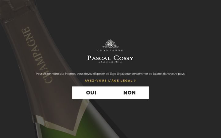 Screenshot of champagne-pascal-cossy.com