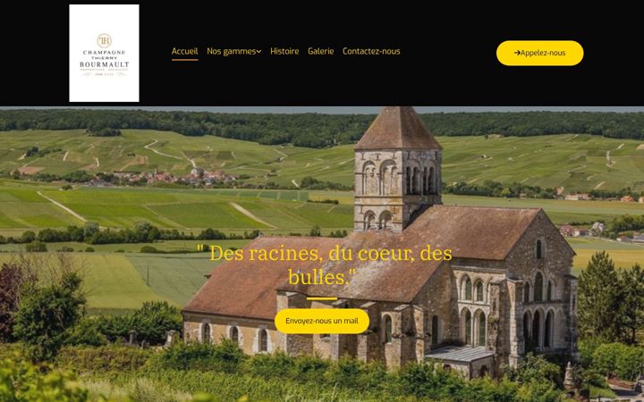 Kuvakaappaus sivustosta champagne-thierrybourmault.fr