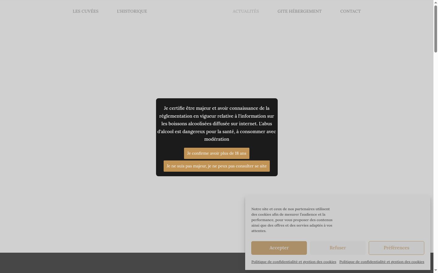 Screenshot of the consent banner shown before any interaction