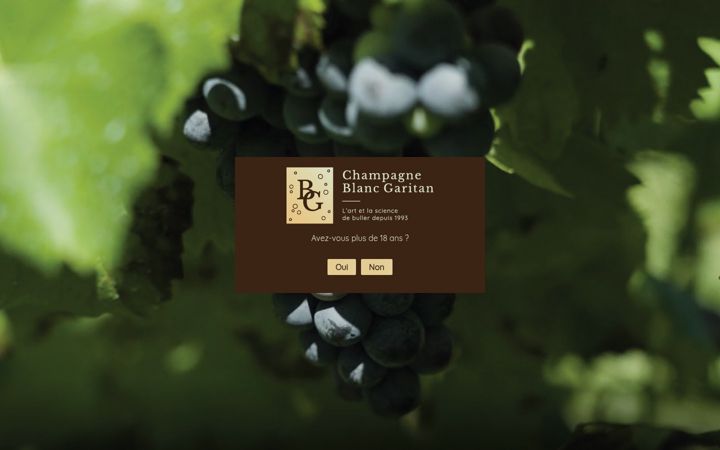 Skjámynd af champagneblancgaritan.fr