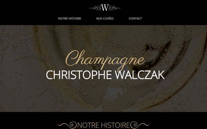 Skjámynd af champagnechristophewalczak.fr