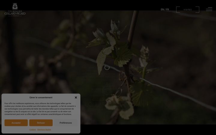 Skjámynd af champagnecollardpicard.fr
