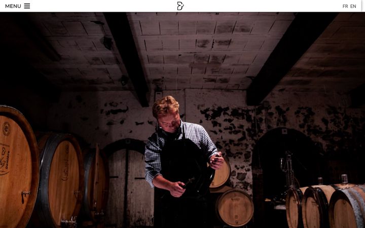 Screenshot of champagnedemiere.com