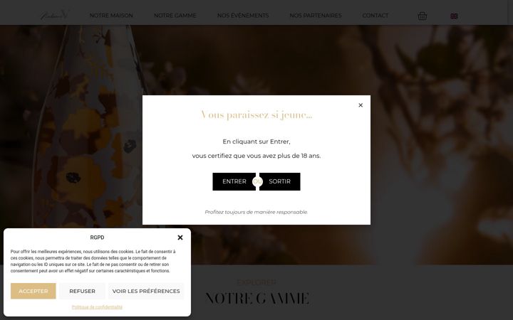 Skjámynd af champagnemadamev.fr