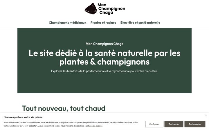 Skjámynd af champignon-chaga.fr