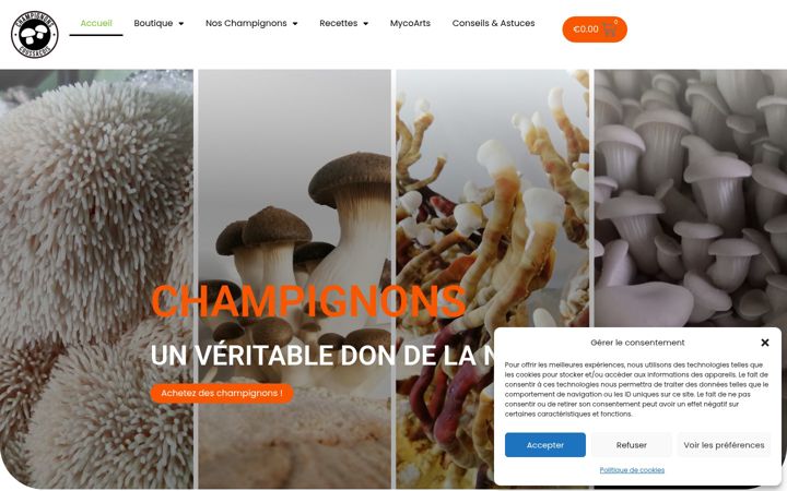 Skjámynd af champignonscoussacois.fr