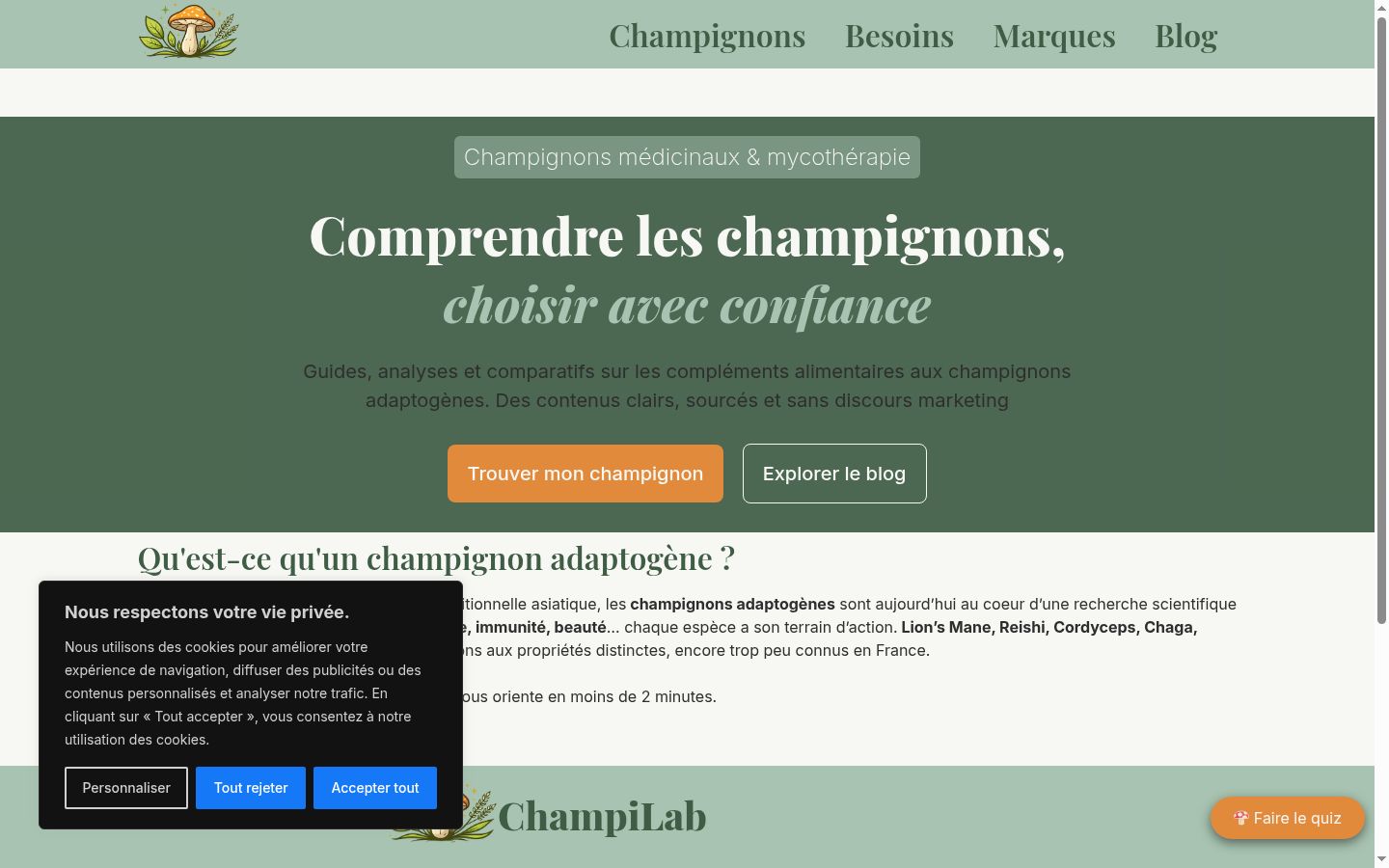 Screenshot of the consent banner shown before any interaction