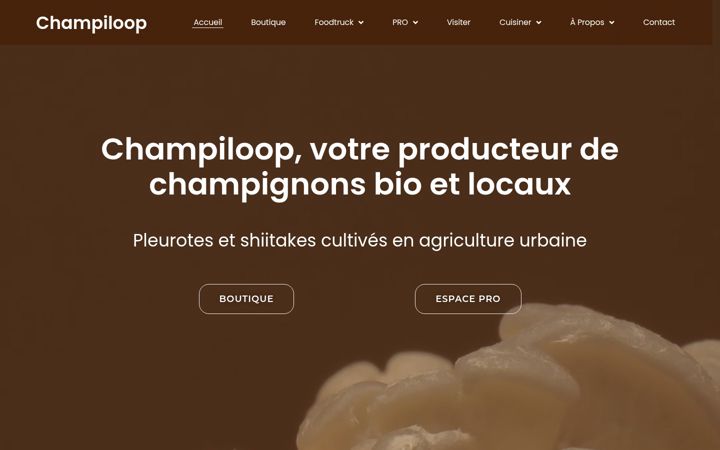 Screenshot of champiloop.com