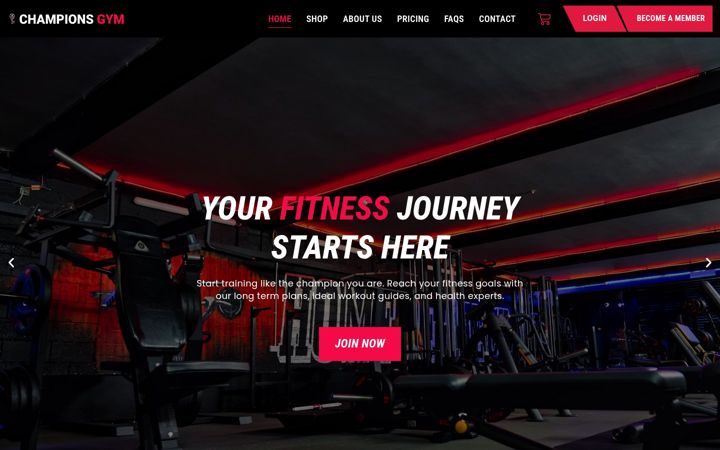 Screenshot ta' championsgym.ie