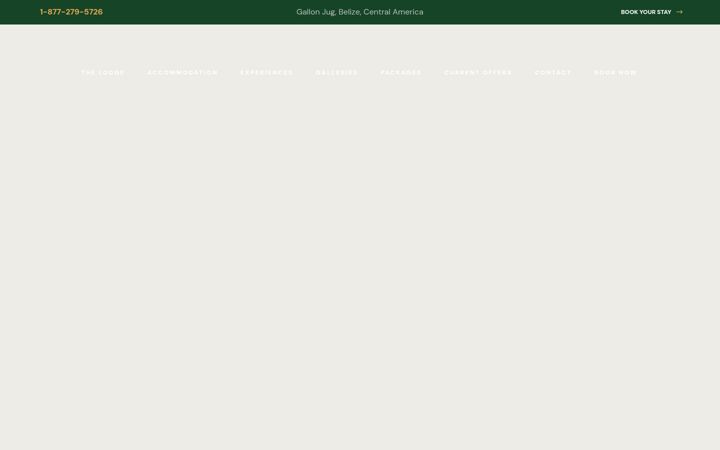 Screenshot of chanchich.com