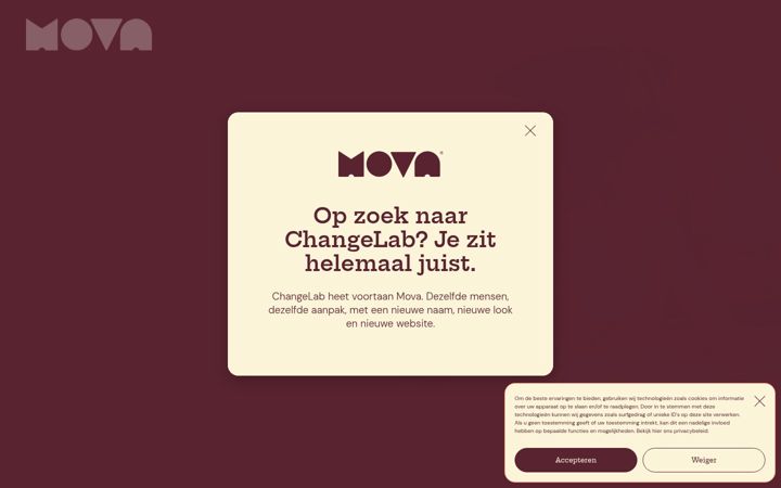 Snímek obrazovky changelab.be