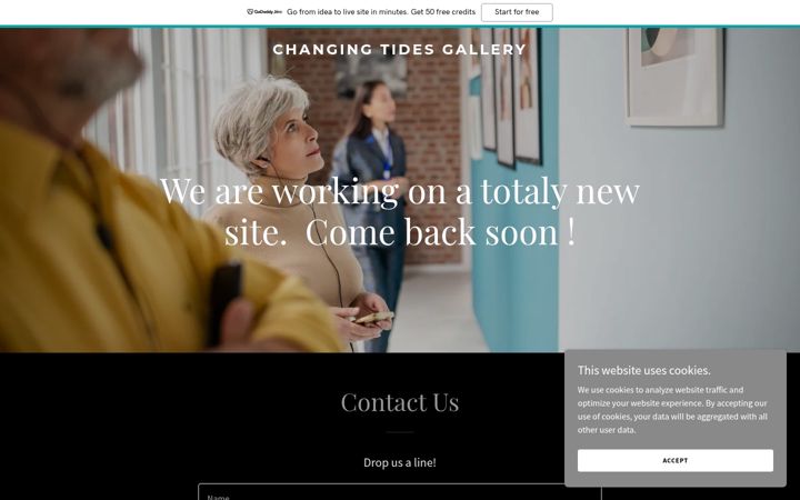 Screenshot of changingtidesgallery.com