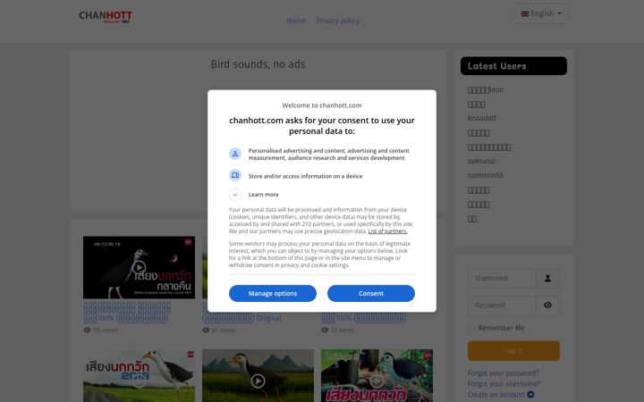 Screenshot of chanhott.com